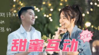 幻想纹章3.4
