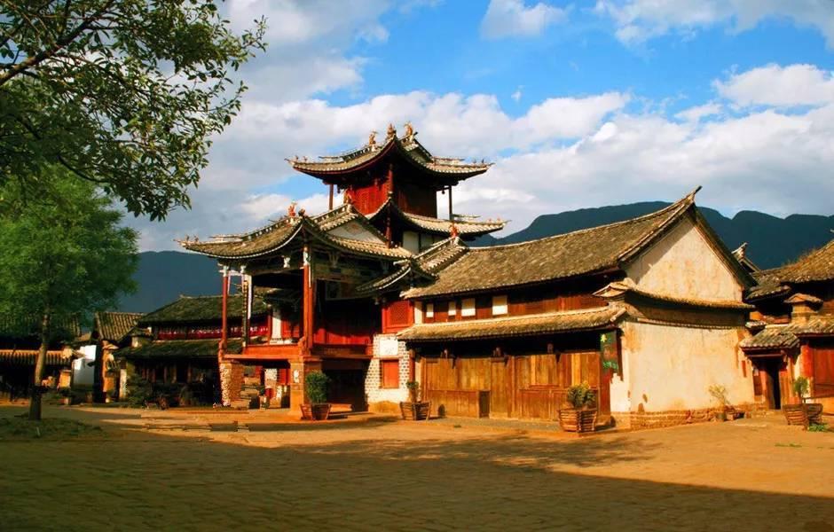 动物帮帮忙保卫家园