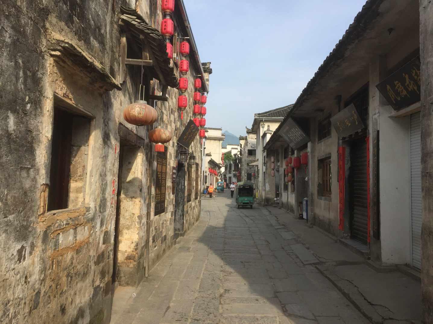 植物大战僵尸19